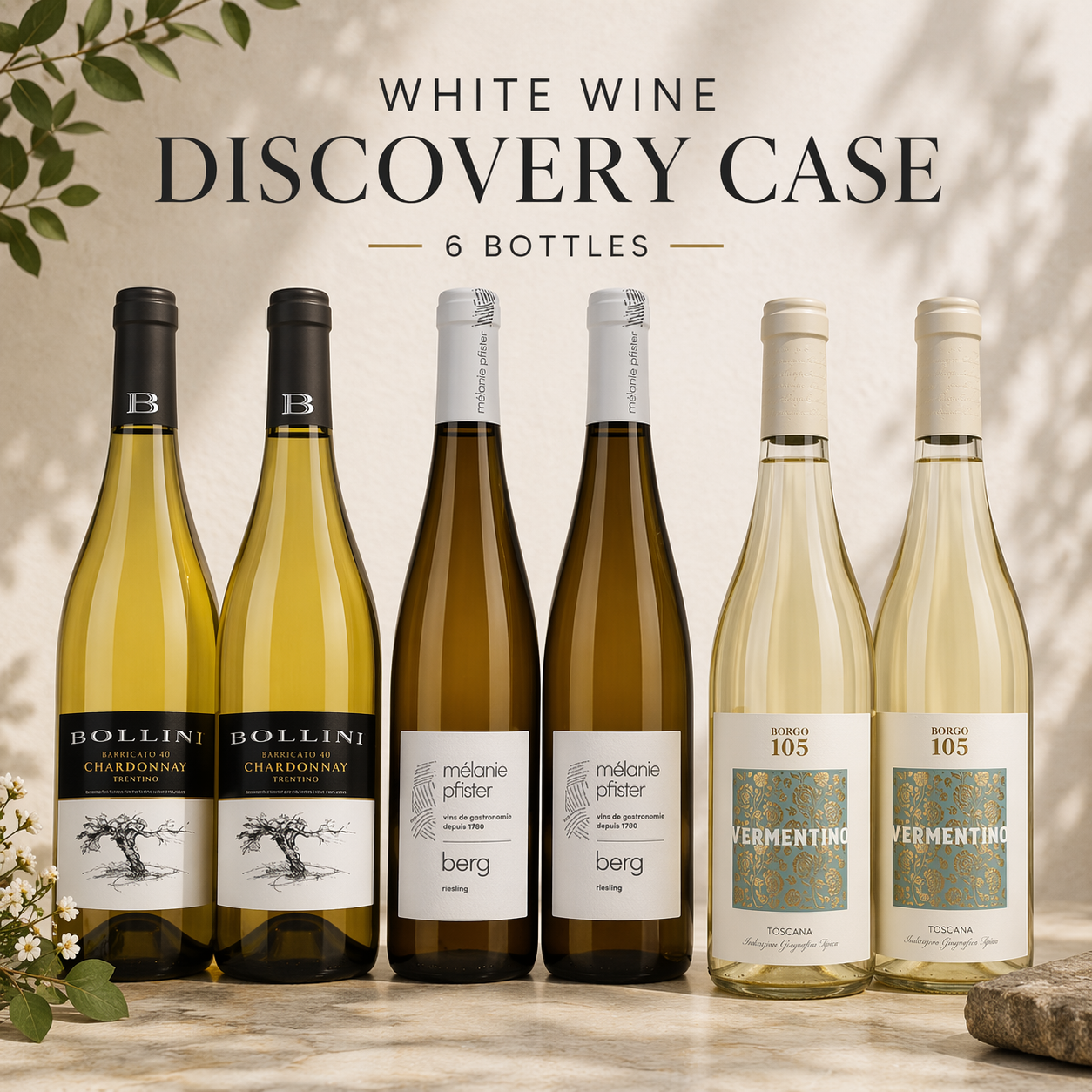 White Wine Discovery Case