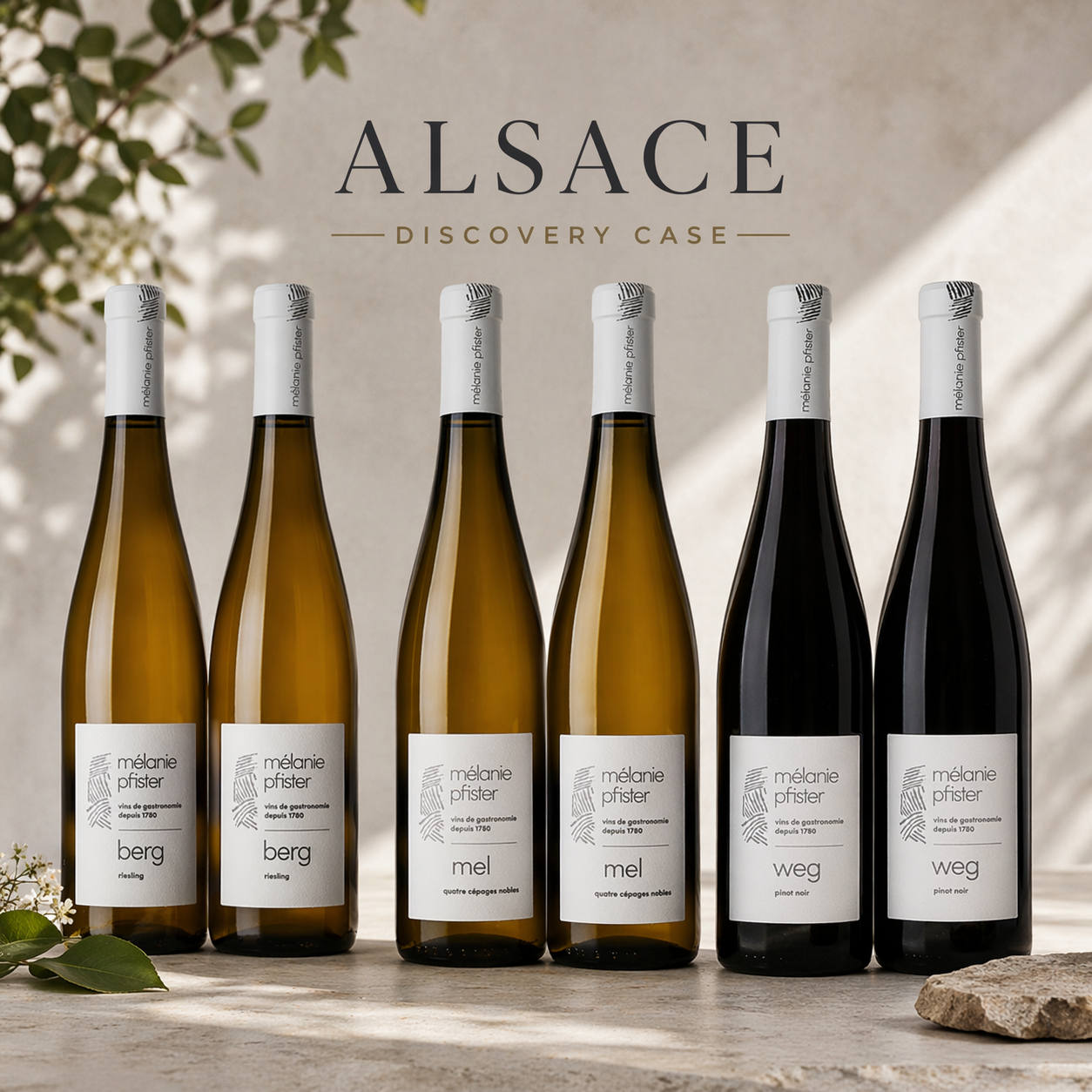 Alsace Discovery Case
